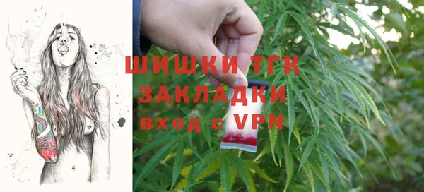 соль ск Алзамай