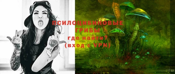 соль ск Алзамай